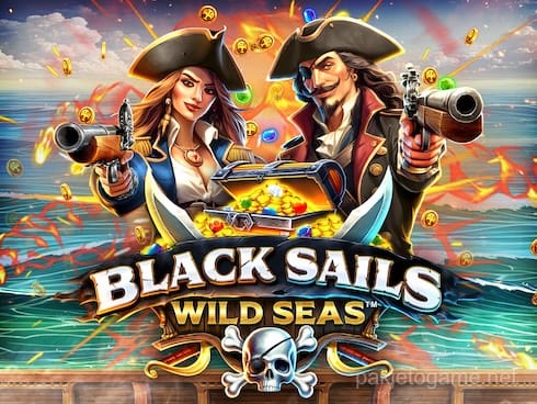 Black Sails Wild Seas